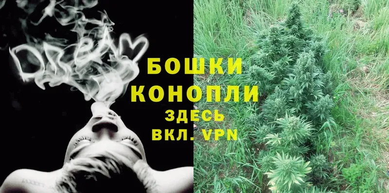 Каннабис SATIVA & INDICA  Алагир 